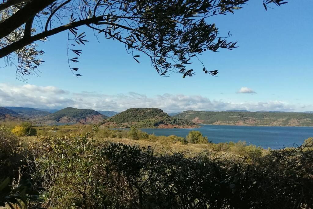 Studio 32m2 - dans propriété avec vue imprenable sur le Lac du Salagou Liausson Extérieur photo